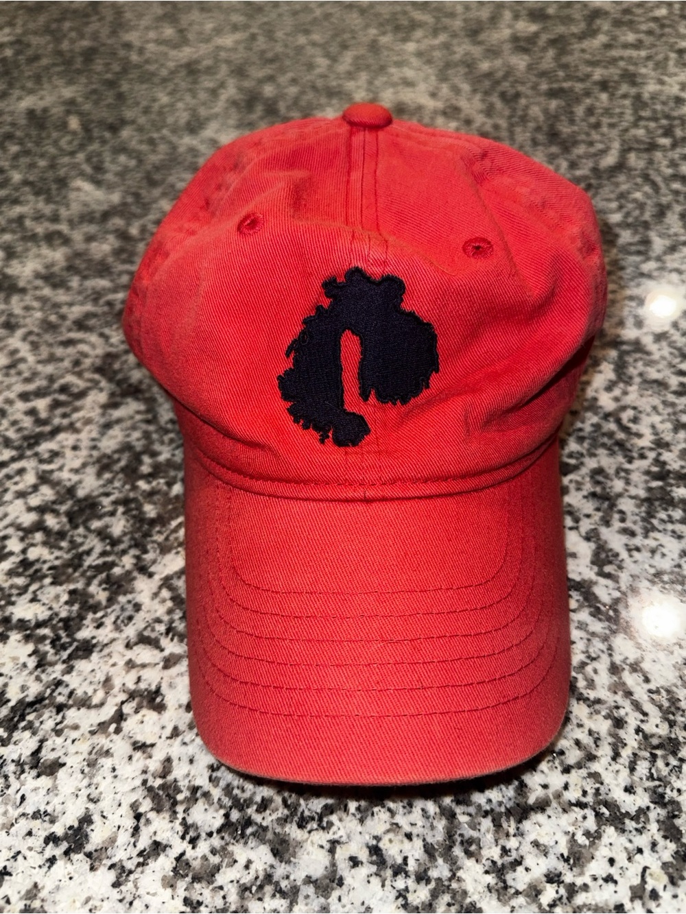 Zephyr Hat with Black Embroidered Logo